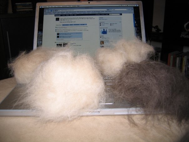 Facebook Tribbles
